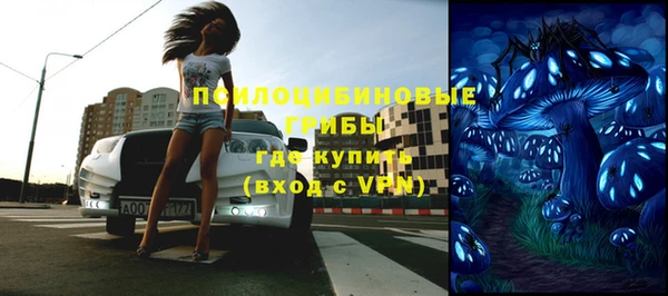 эйфоретик Алзамай