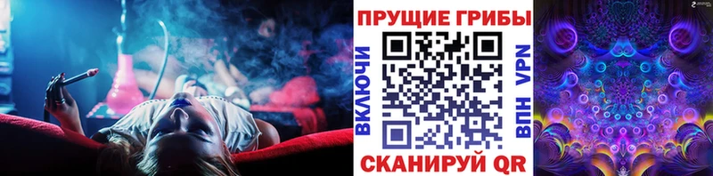 Псилоцибиновые грибы прущие грибы  ОМГ ОМГ онион  Нижний Новгород 